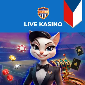 Kočičí postava oblečená jako krupiér s ruletou, hracími kartami a žetony.